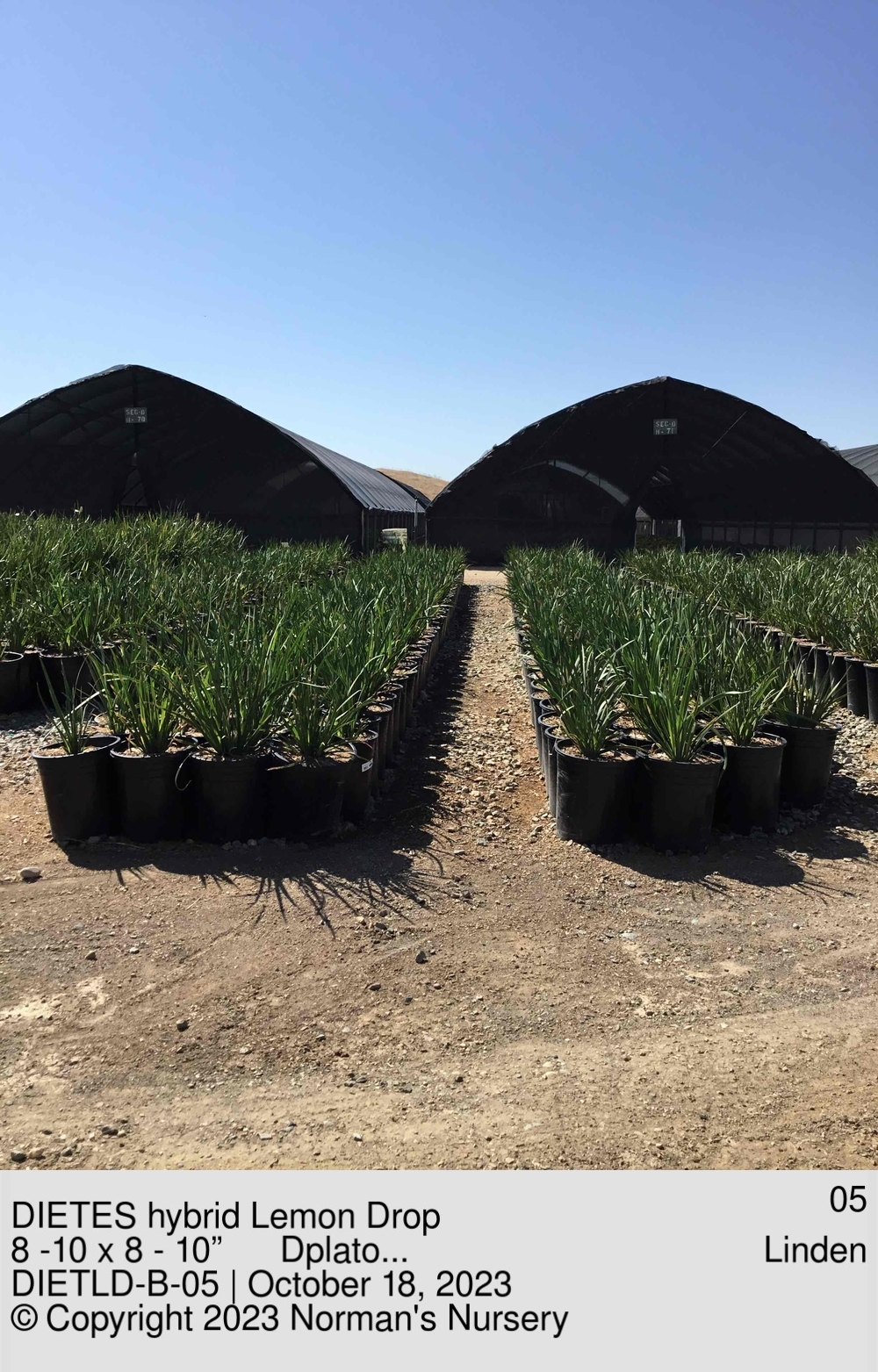 3XupXIljCRVAiBzd9LHs