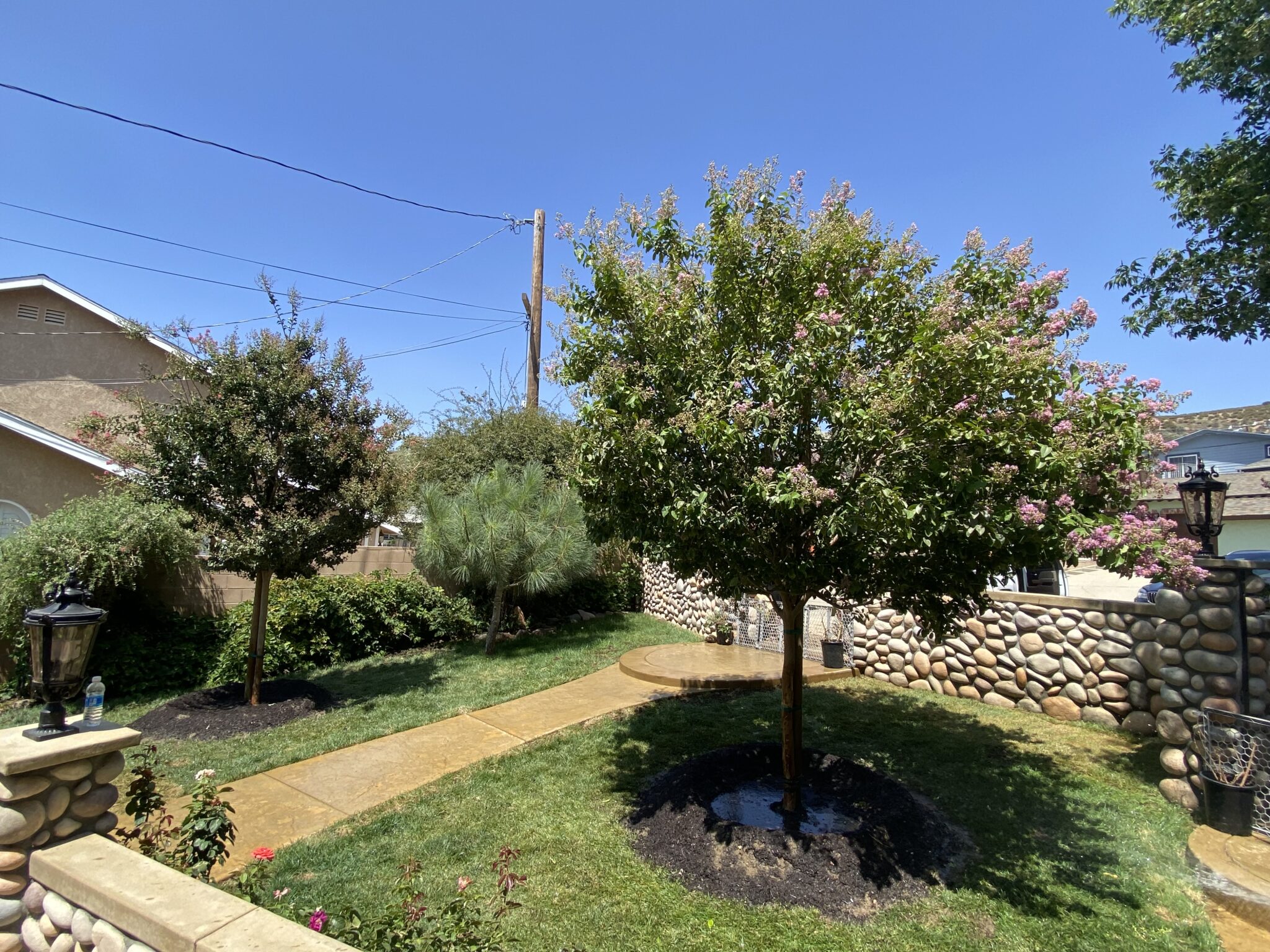 Landscape Design