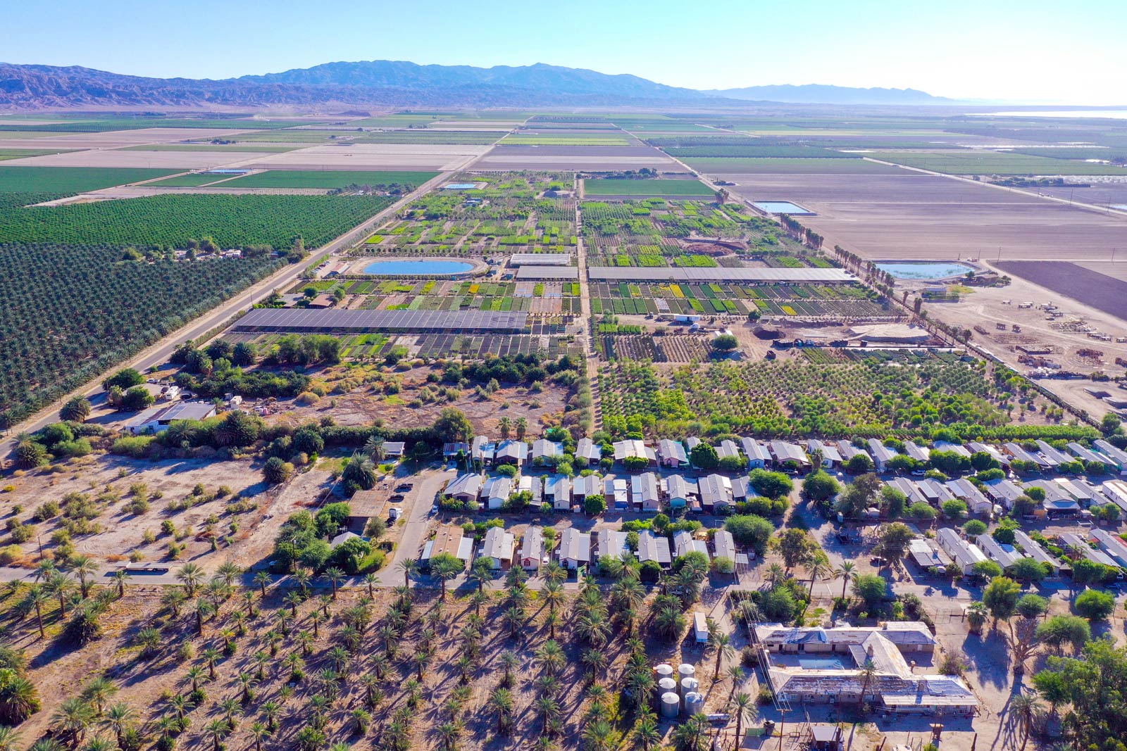 Norman’s Nursery – Coachella Valley, California Photo